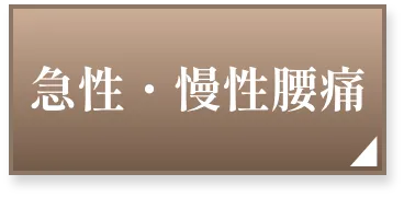 腰痛ページへボタン