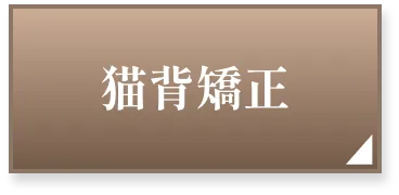 猫背ページへボタン