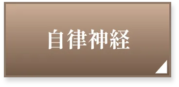 自律神経ページへボタン